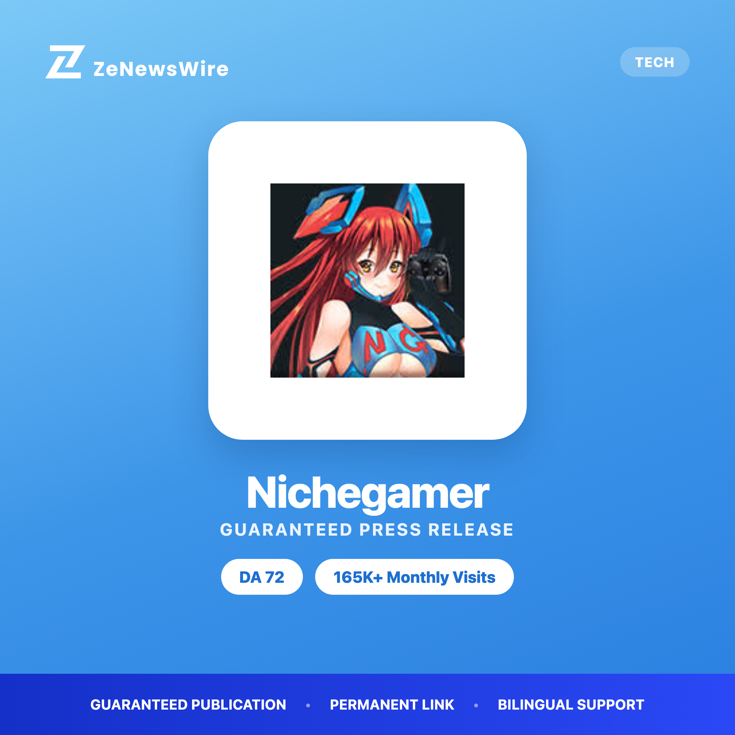 Nichegamer press release
